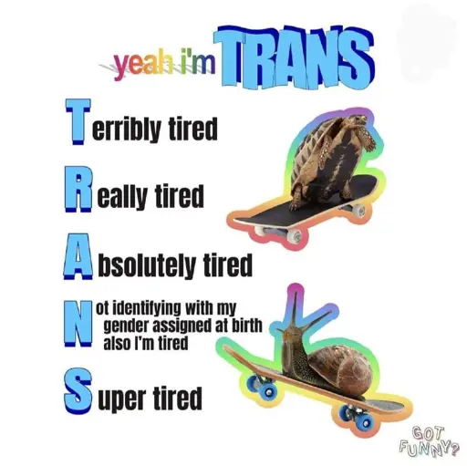 A turtle and a snail each on their own skateboard, with the text: "Yeah, I'm TRANS: Terribly tired, Really tired, Absolutely tired, Not identifying with my gender assigned at birth also I'm tired, Super tired."