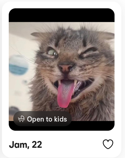 A screenshot of a bumble profile of a cat. One tag says "Open to kids"