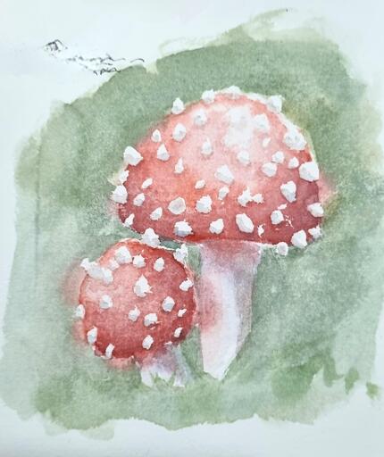 Watercolour painting of red and white mushrooms