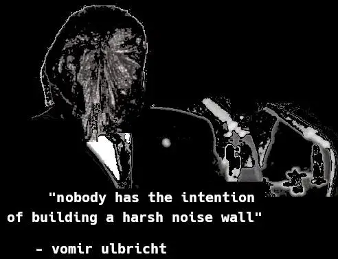 heavily modified screenshot which originally showed Walter Ulbricht as he said that nobody had the intention of building a wall. His head was replaced with a portrait of the musician Vomir wearing a kind of trash bag over his face. Everything else was completely blackened (except for the microphones and Ulbricht's chest and shoulders. At the bottom is the following text: "nobody has the intention of building a harsh noise wall" along with "- vomir ulbricht"
